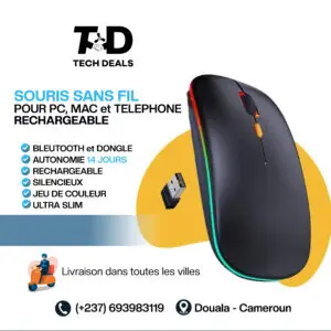 SOURIS BLEUTOOTH MULdTICOLOR-01
